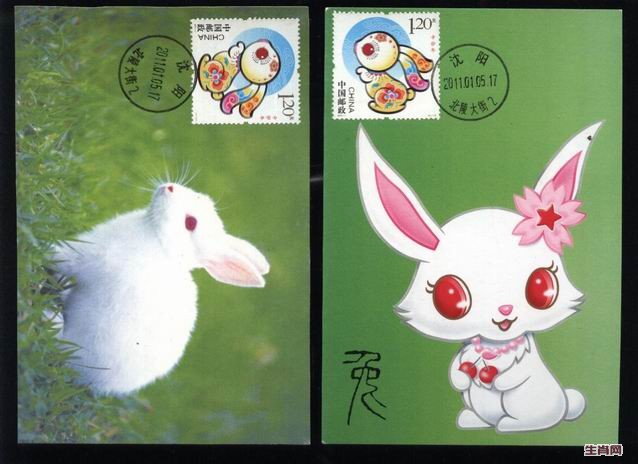 2.生肖兔极限片（2010年文化版.沈阳首日戳）小白兔=2枚组（每组12元：.jpg